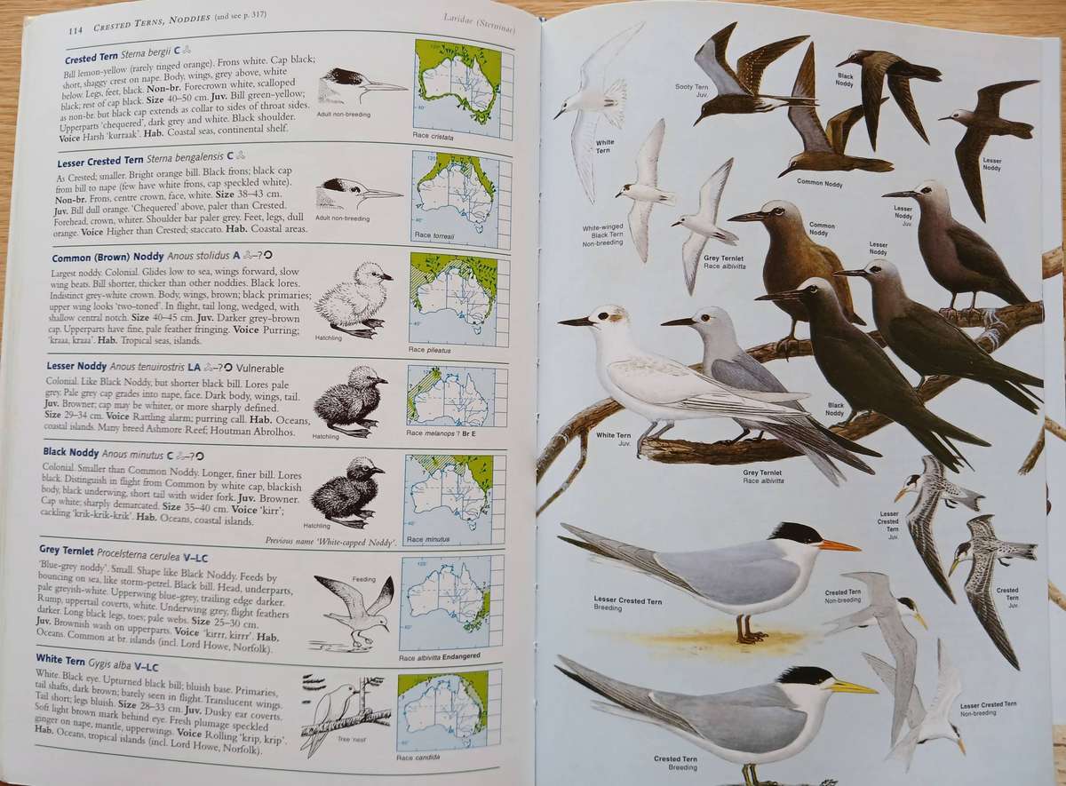 Field Guide to the Birds of Australia
