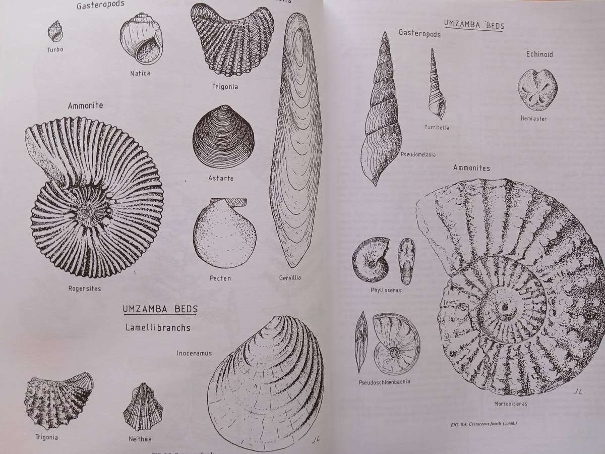 South African Geology for Mining, Metallurgical, Hydrological and Civil Engineering