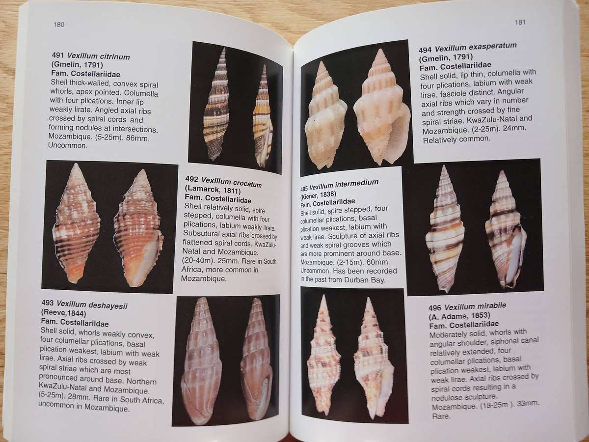 Offshore Shells of Southern Africa - A pictorial guide to more than 750 gastropods