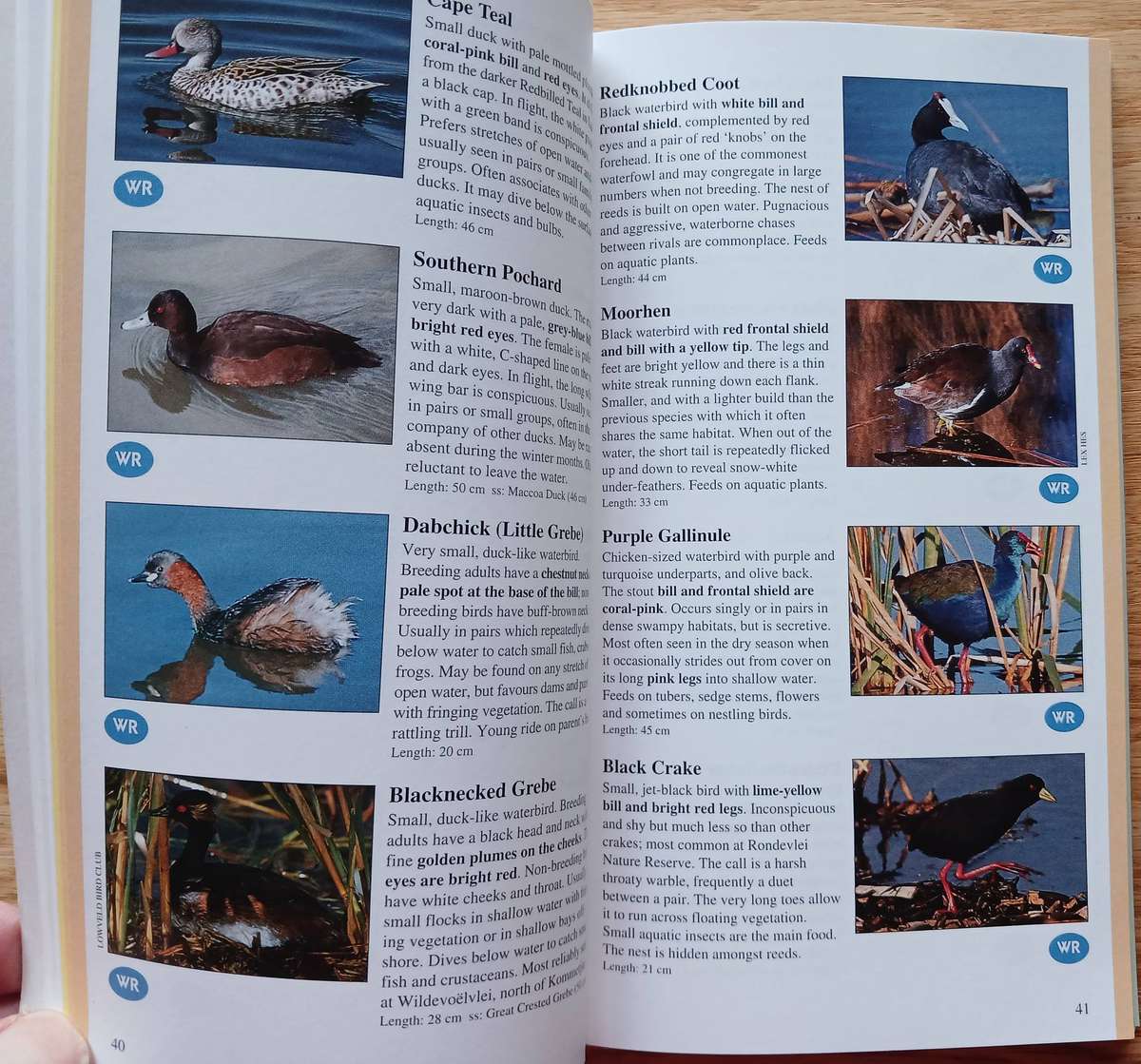 Wildlife of the Cape Peninsula - Common Animals and Plants