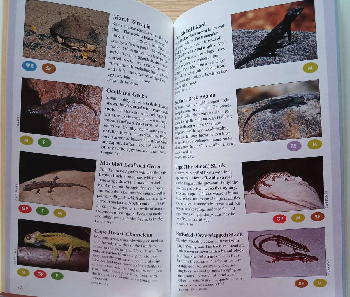 Wildlife of the Cape Peninsula - Common Animals and Plants