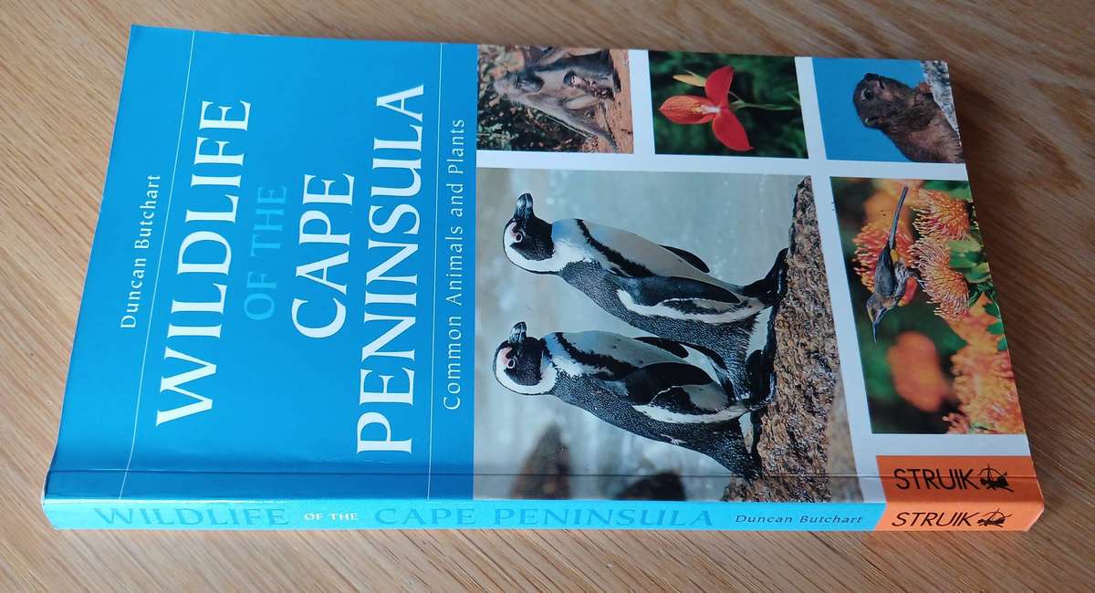 Wildlife of the Cape Peninsula - Common Animals and Plants