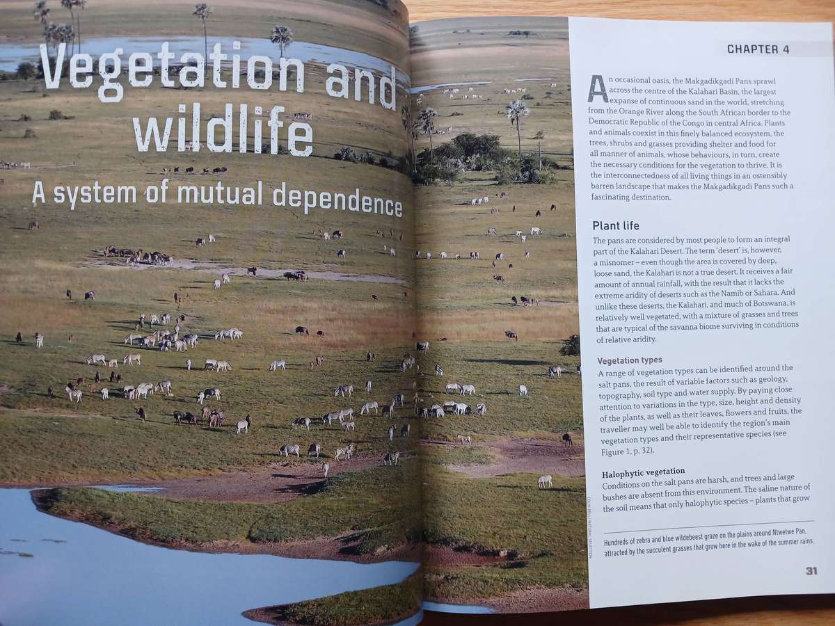 Makgadikgadi Pans by Grahame McLeod