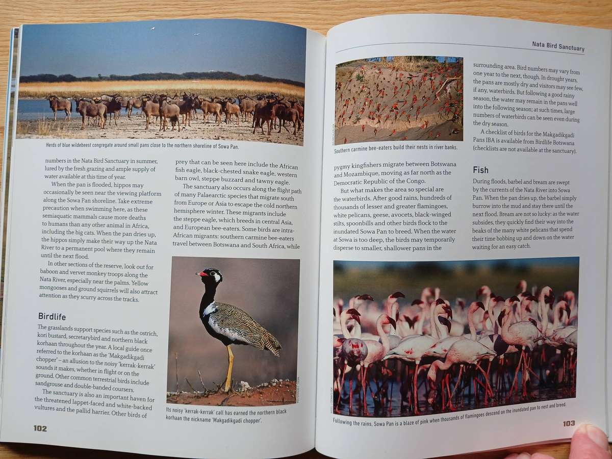 Makgadikgadi Pans by Grahame McLeod