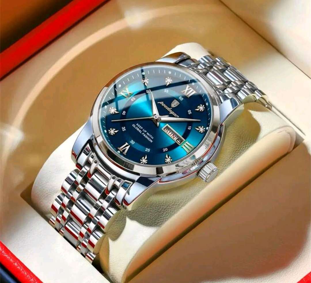 Wow amazing luxurious Men's POEDAGAR waterproof watch
