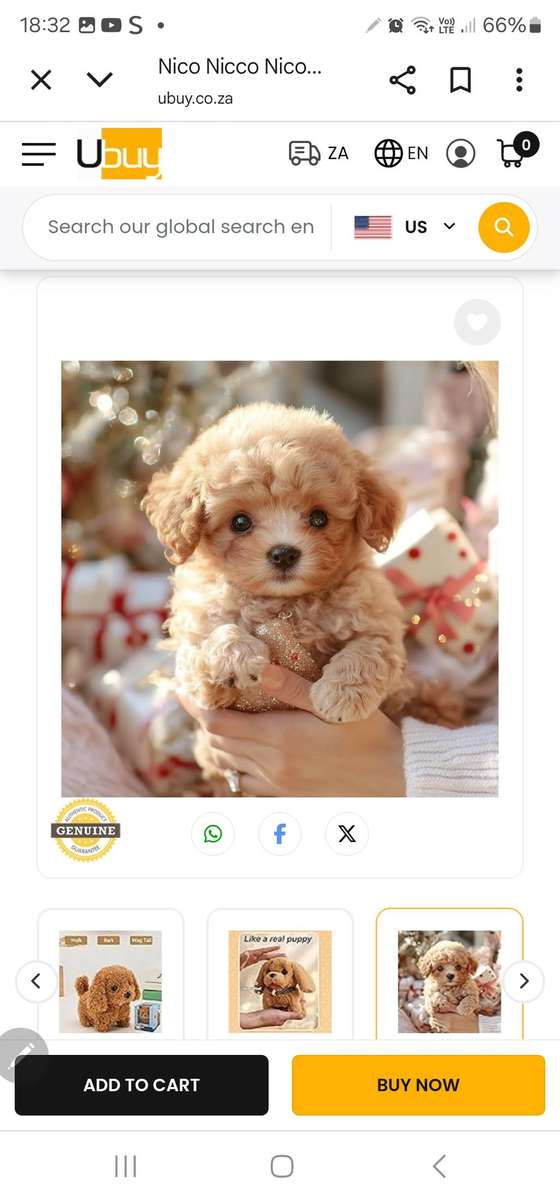 Wow amazing  luxurious  realistic  Robot  Dog..