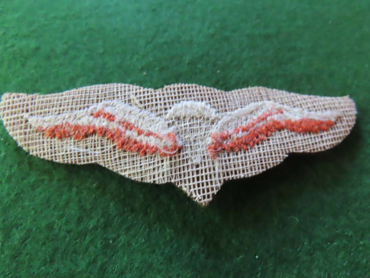 South Africa -SA Parachute Basic Cloth Free Fall Wing