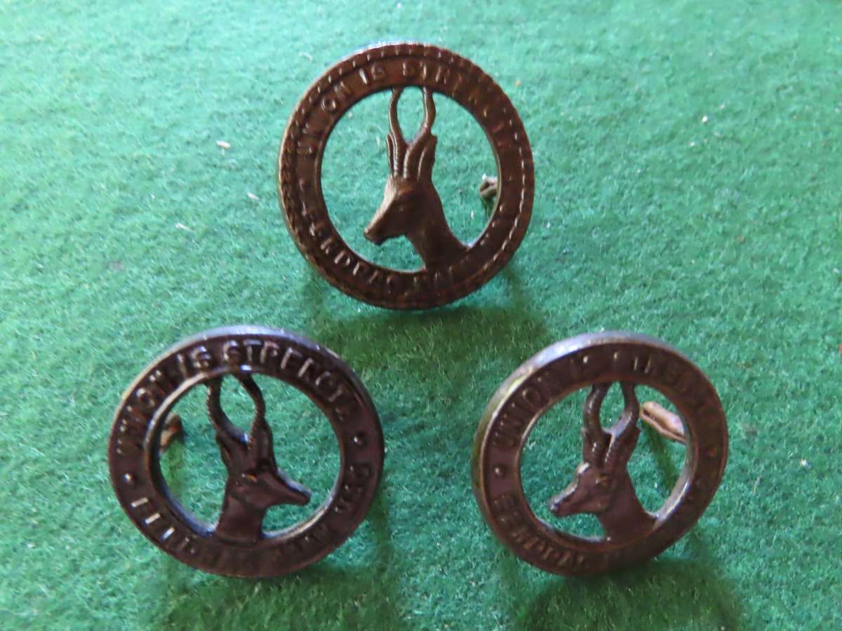 South Africa - Army - WWII - SA Infantry Cap and Collar Badges