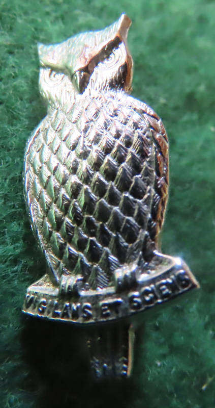 South Africa - Border War - Military Intelligence -  Mess Dress Collar Badge