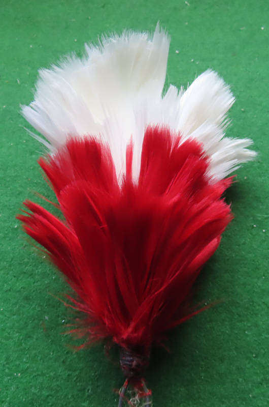 Great Britain - Hackle -  Highland North Infantry