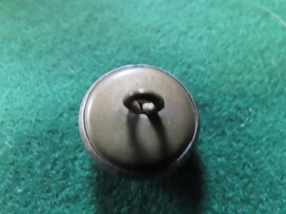 India - Madhya Pradesh Police Button19.5mms
