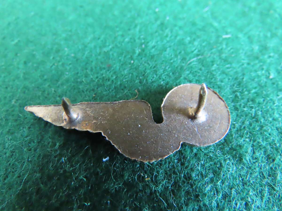South Africa S.A. Air Force Radio Operator Mess Dress Wing