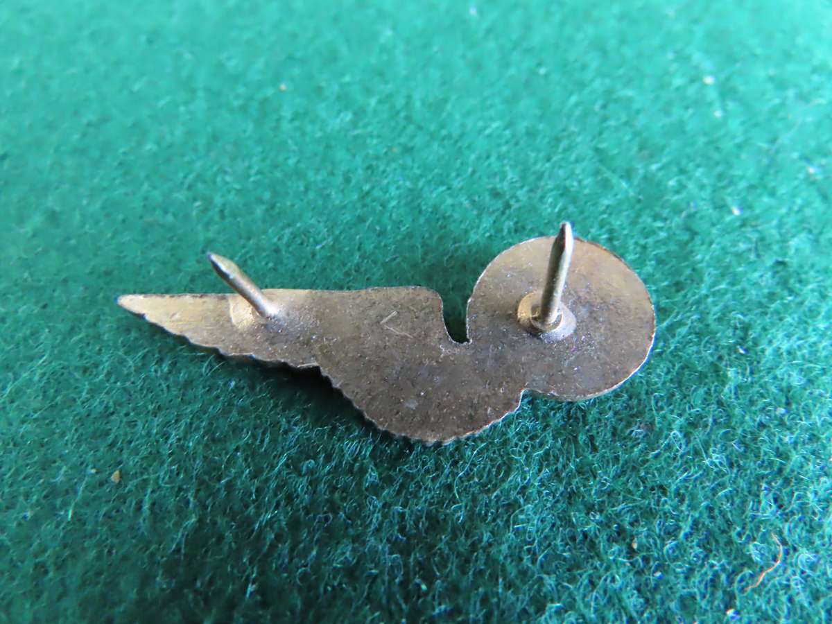 South Africa S.A. Air Force Navigator Mess Dress Wing