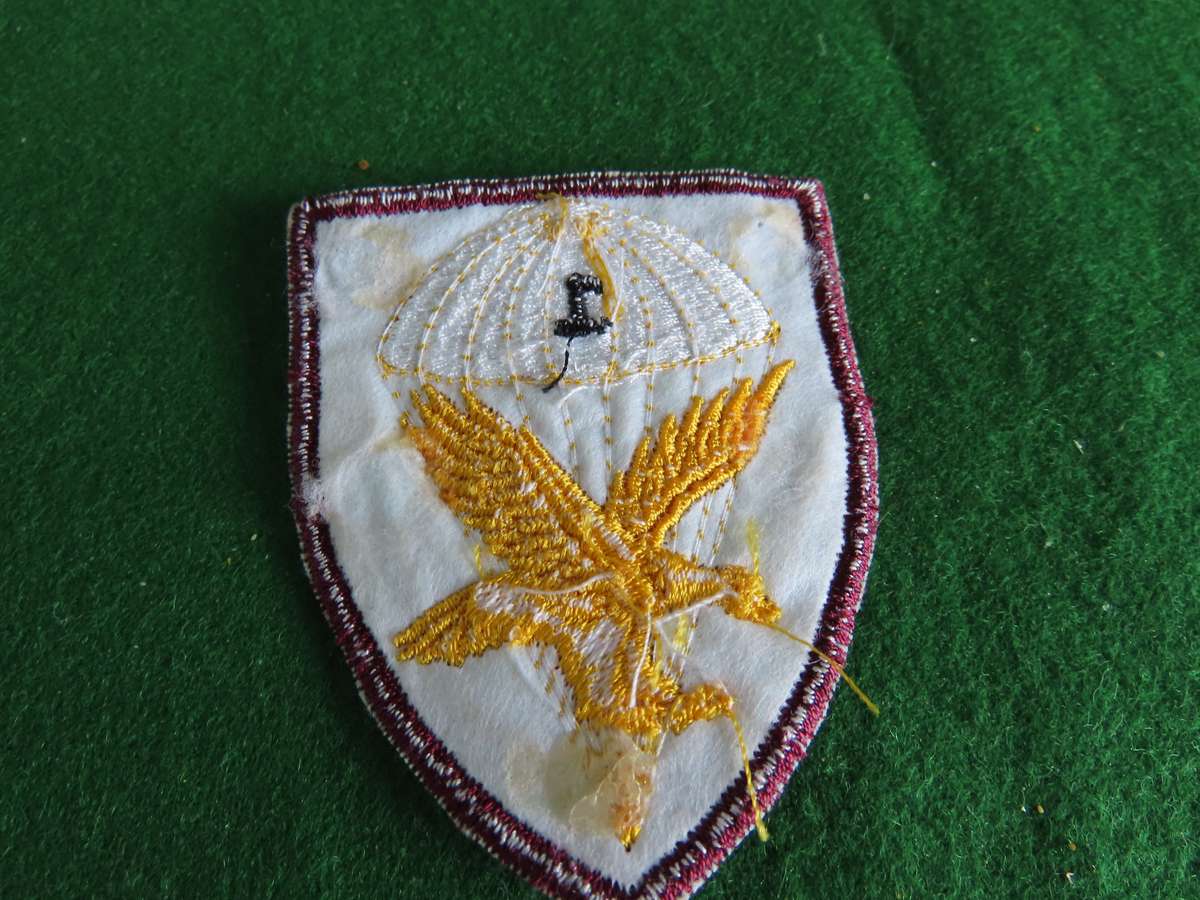 South Africa - Border War - 1 Parachute Battalion Shoulder Flash