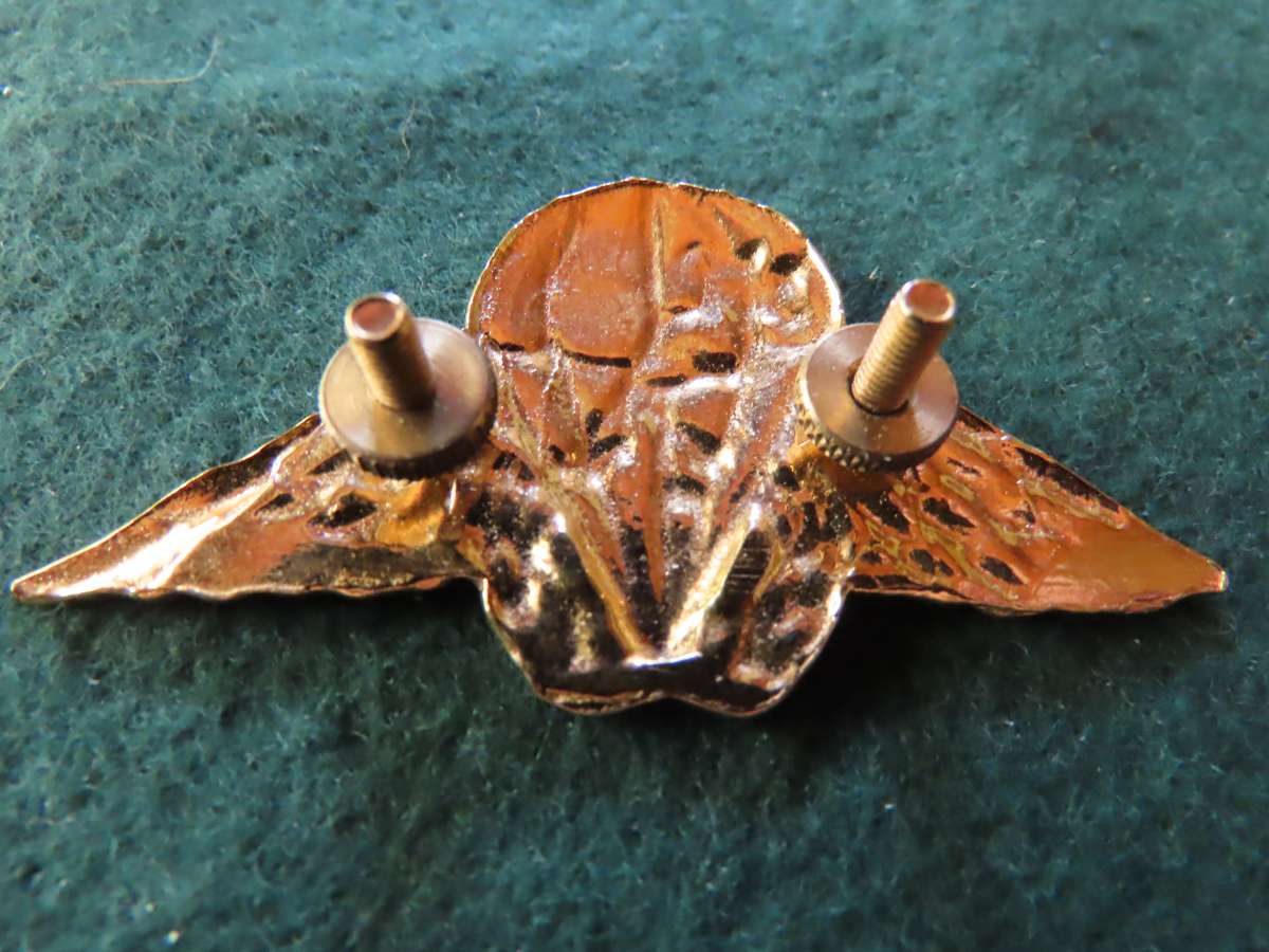 Homelands-Ciskei-Border War-Parachute Battalion Gold for Officers and Warrant Officers Beret Badge