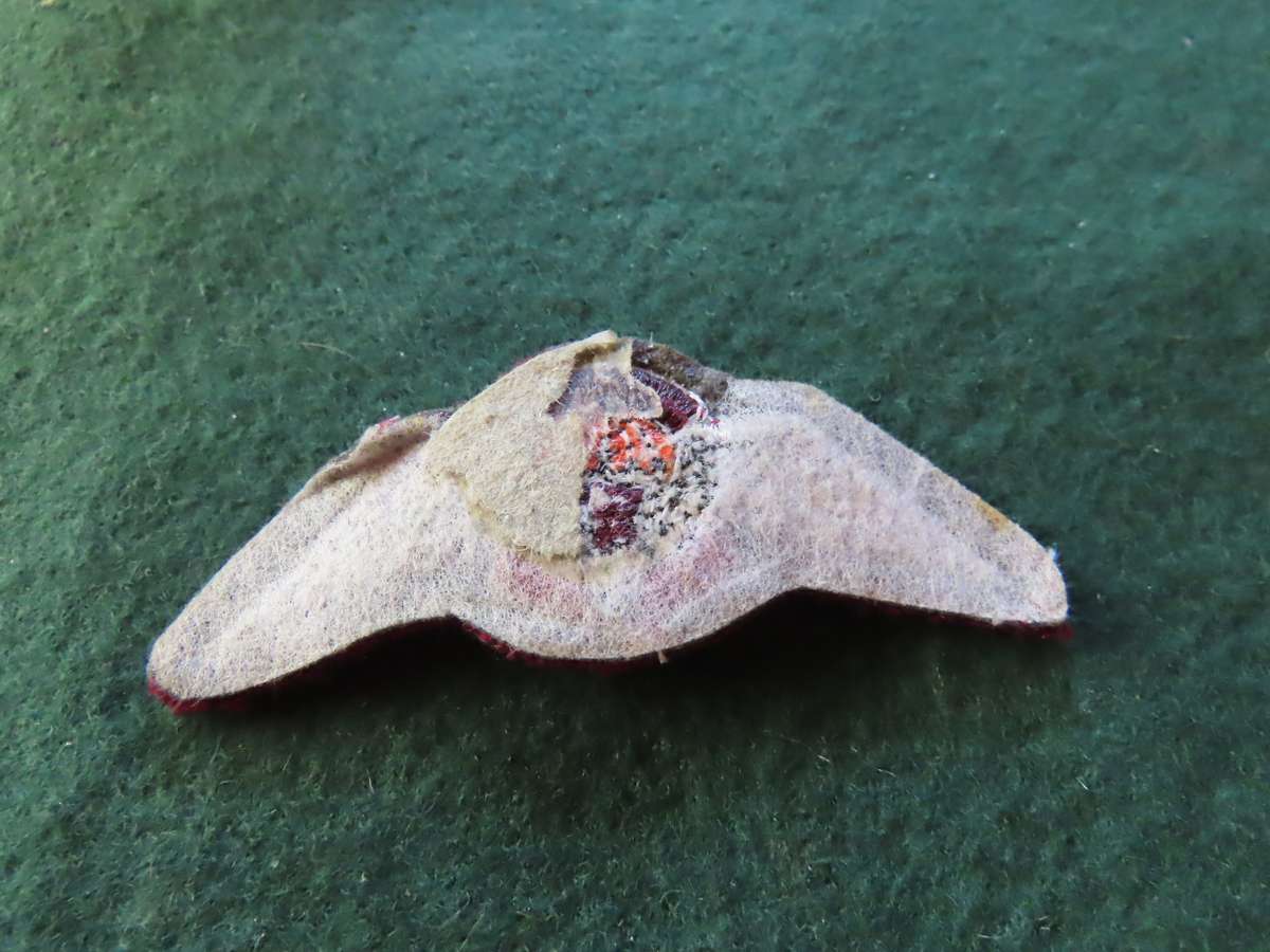 South Africa - Homelands - Bophutatswana - Border War - Parachute Battalion Cloth Badge