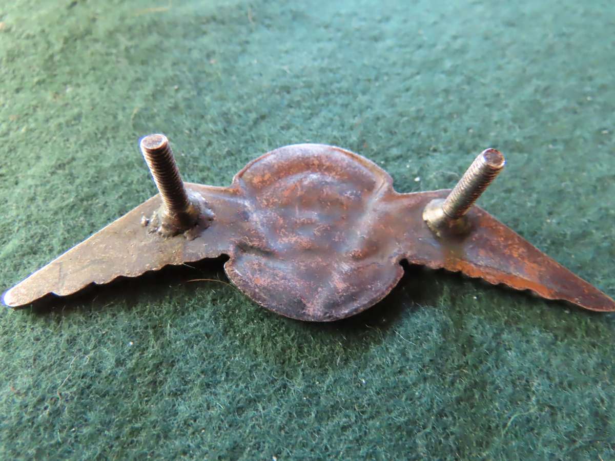 Homelands - Bophutatswana - Border War - Parachute Battalion Metal Badge