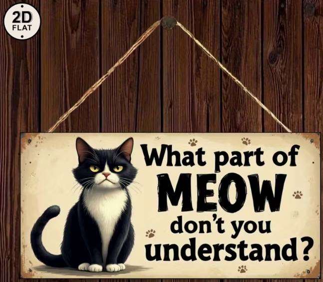 What Part of MEOW Dont You Understand? Essential Home Décor