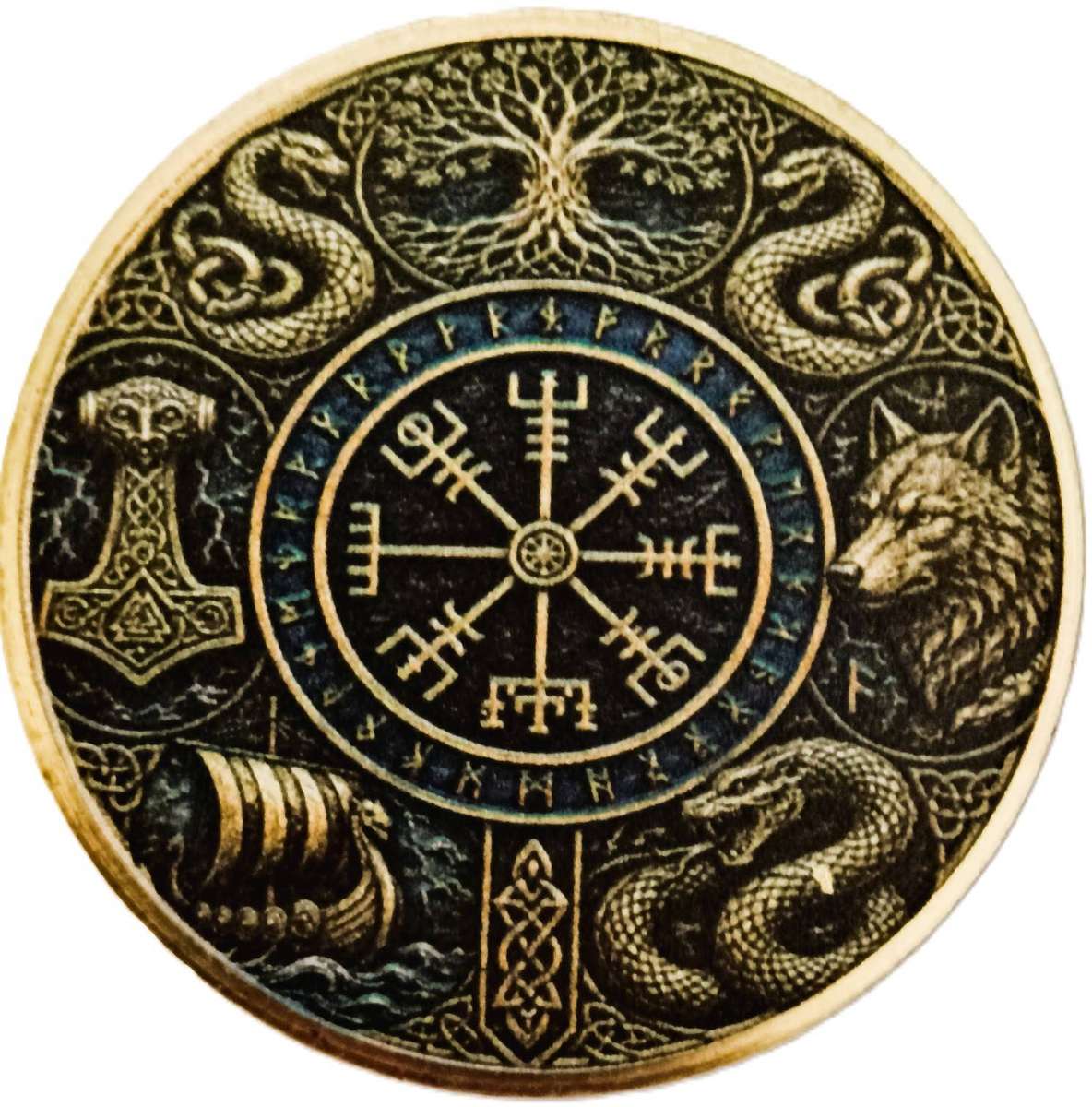 Viking Warrior Coin