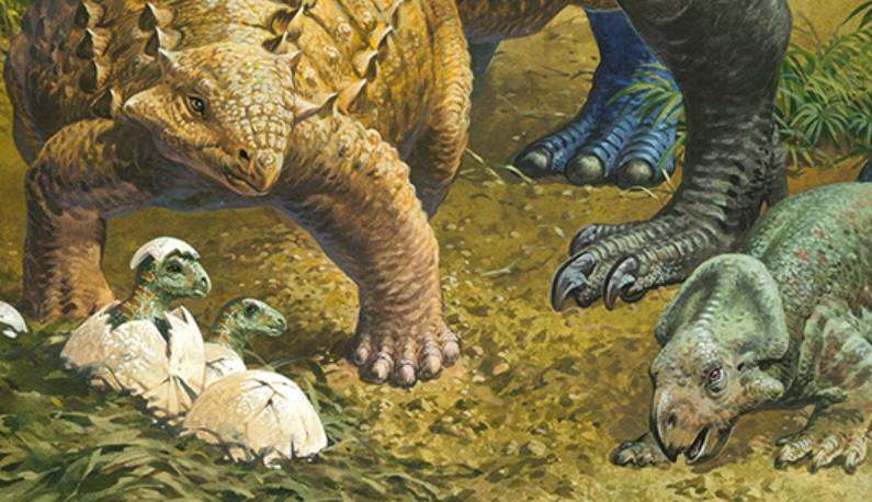 Jurassic Finest Dinosaur Puzzle  24 Piece with Full Poster (RGS Original - support local brands)