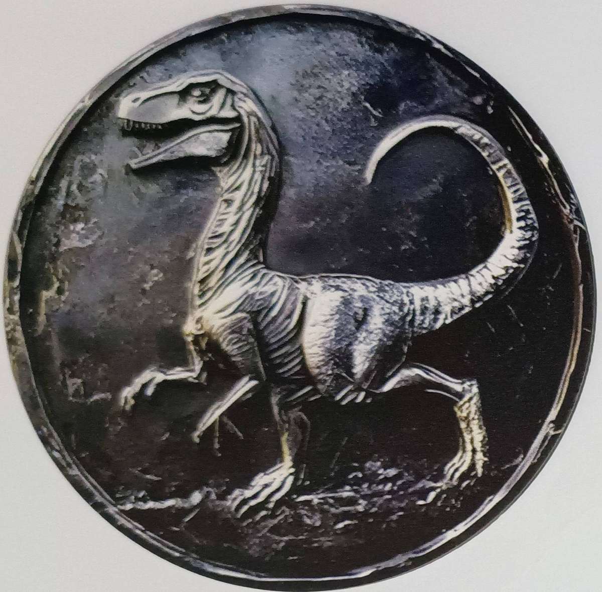 Limited Dinosaur Coaster Set (6 Piece)  Vibrant Drink Coasters - only 1 set available