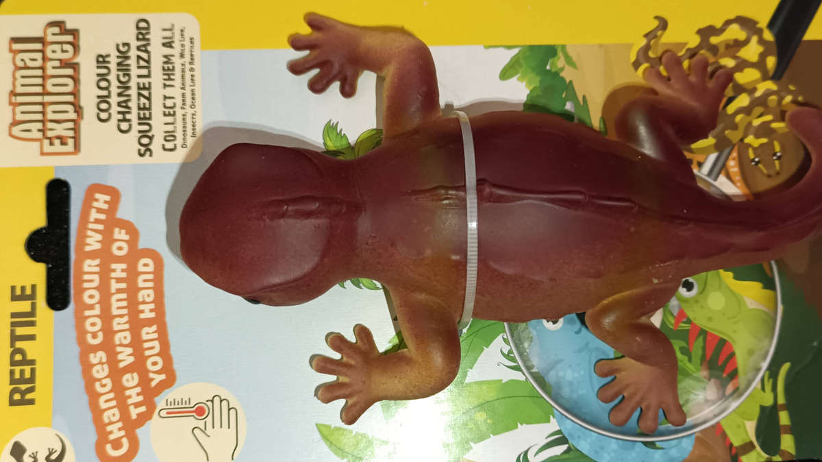 Ollie: The Colour changing squeeze lizard