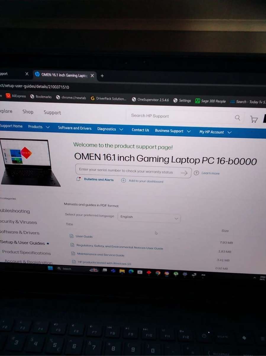 Omen i9 13th Gen Gaming Laptop