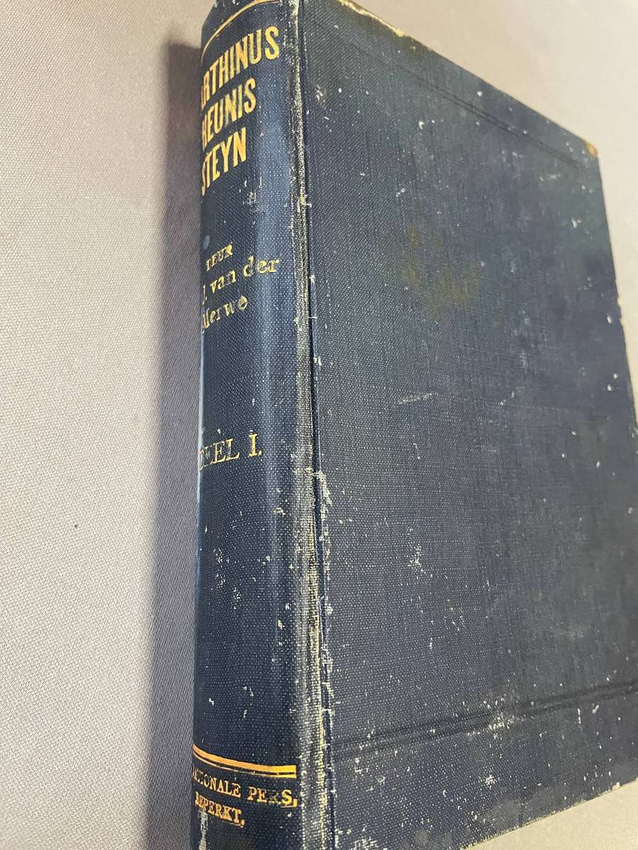 Marthinus Theunis Steyn, Deel I.  N.J. van der Merwe