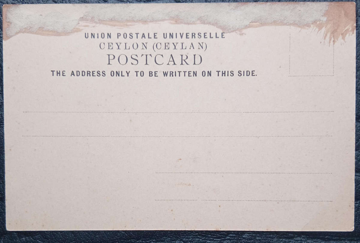 Africana- Unused postcard from Ceylon