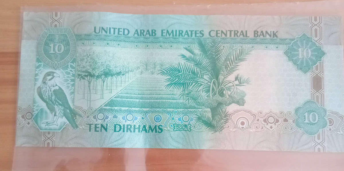 10 United Arab Emirates dirhams