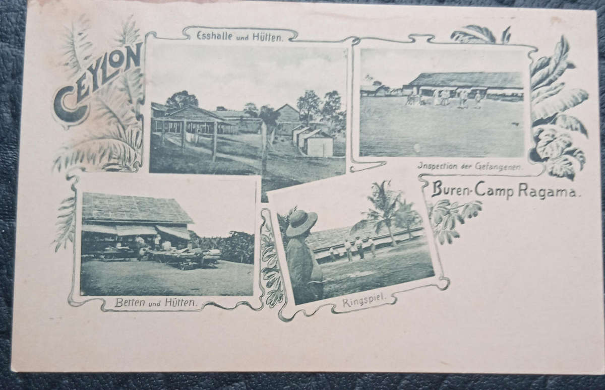 Africana-Boer War Postcard