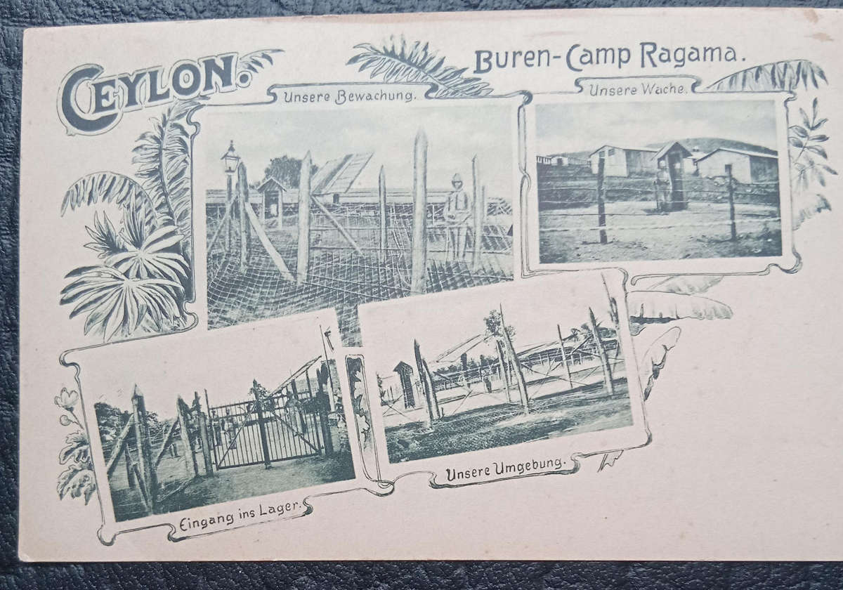 Africana- Unused postcard from Ceylon