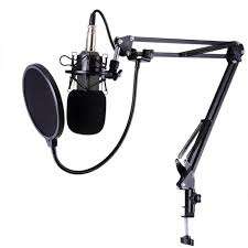 Professional condenser microphone
