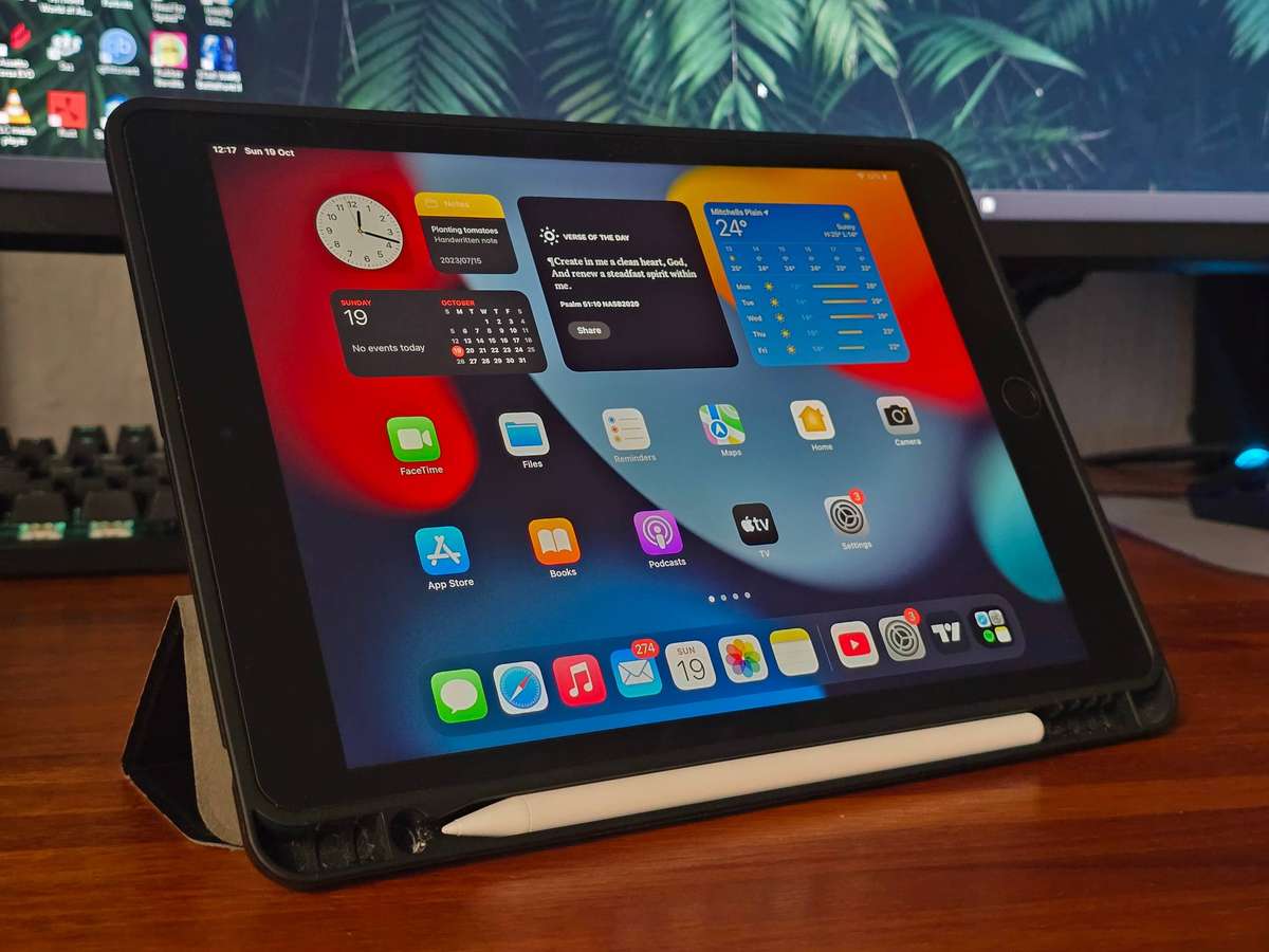 iPad 10.2-inch (9th generation) - PRISTINE Condition