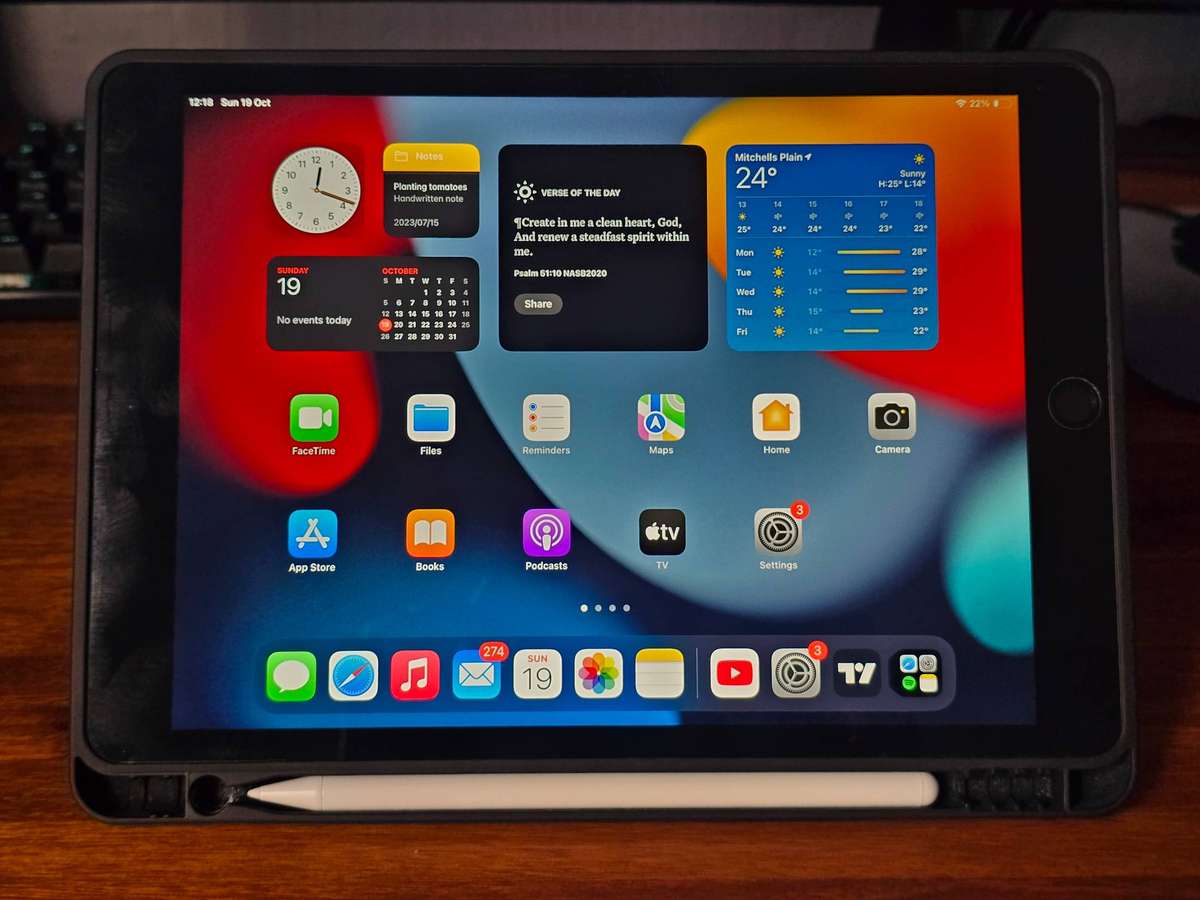 iPad 10.2-inch (9th generation) - PRISTINE Condition