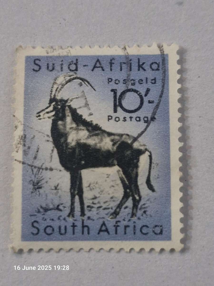 1954 South Africa 10 shilling stamp