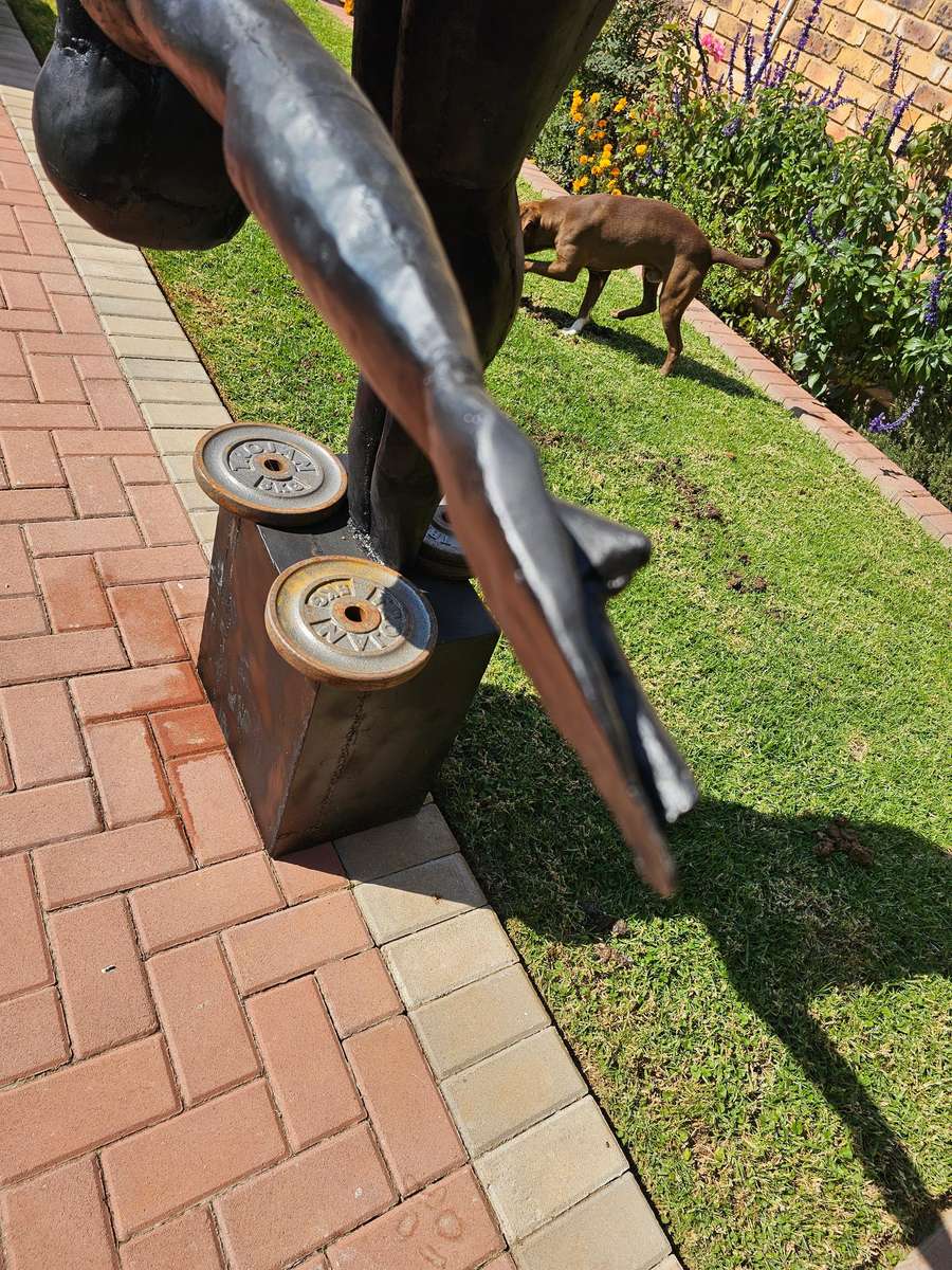 The Dive Metal Sculpture