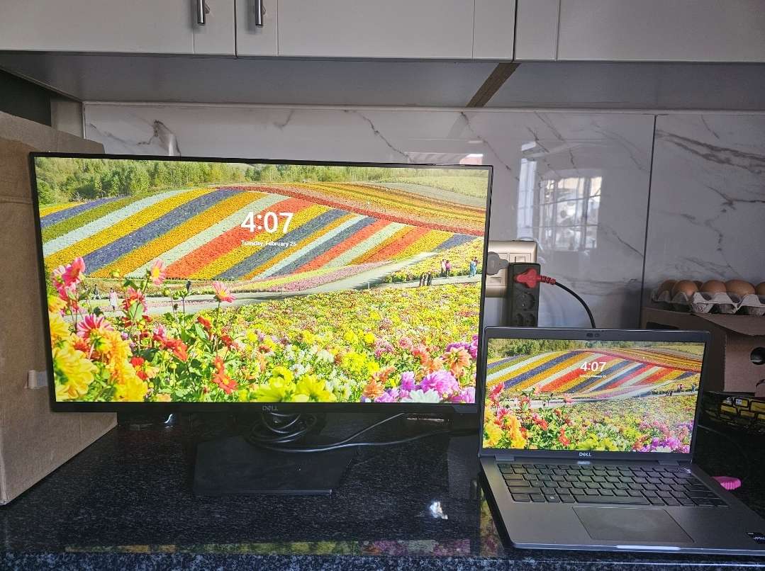 Dell SE2719HR 27" Full HD(1920x1080) 75Hz 4ms IPS AMD FreeSync Desktop Monitor