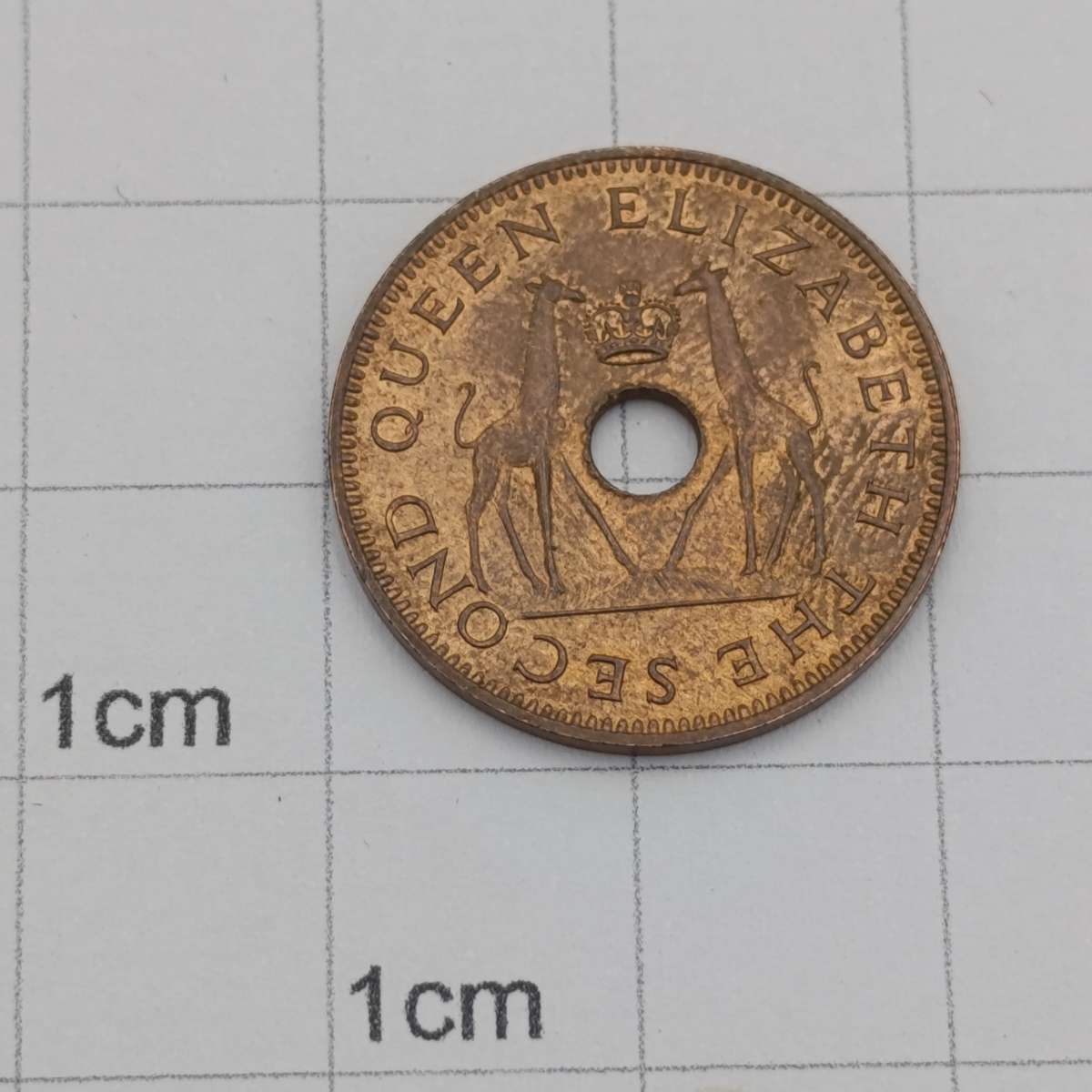 Rhodesia & Nyasaland 1958 half penny uncirculated