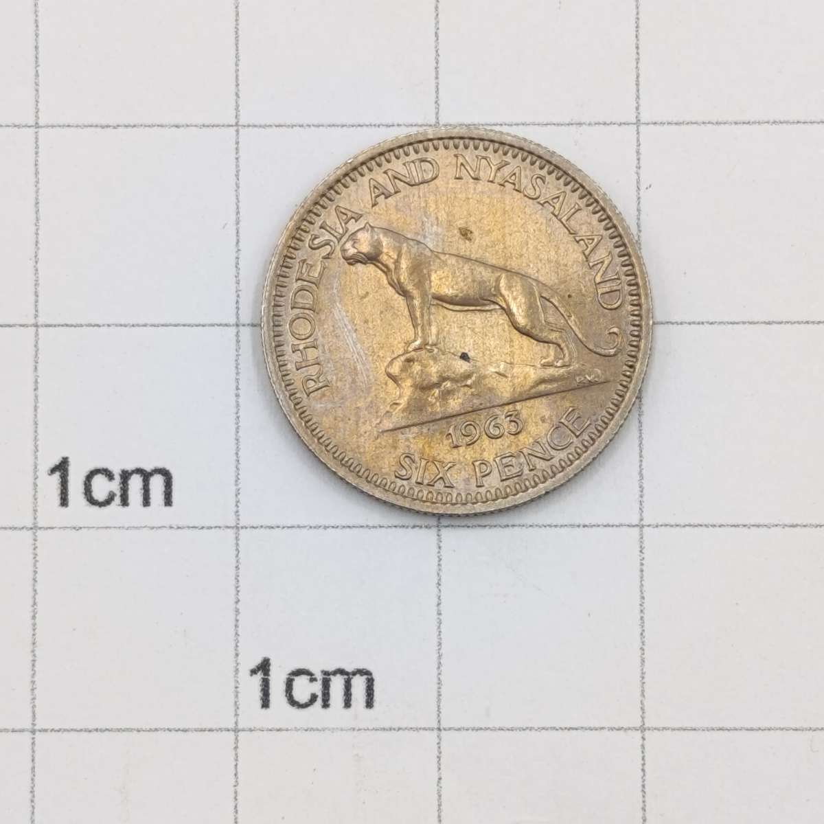 Rhodesia and Nyasaland 1963 Six pence uncirculated