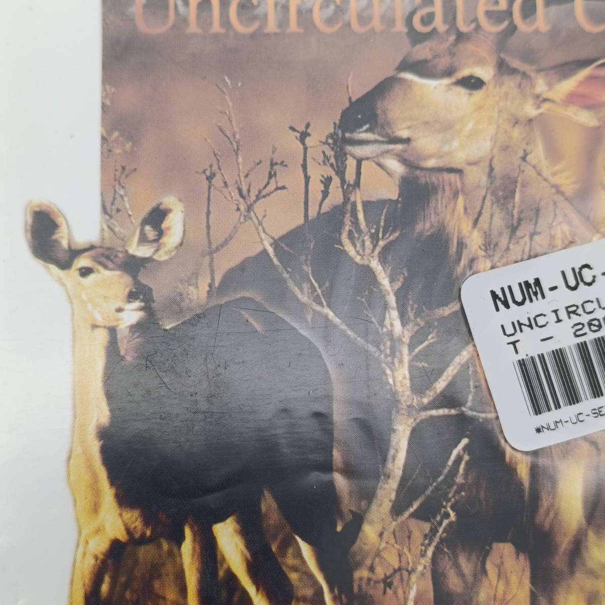2001 South African uncirculated coin set - still sealed