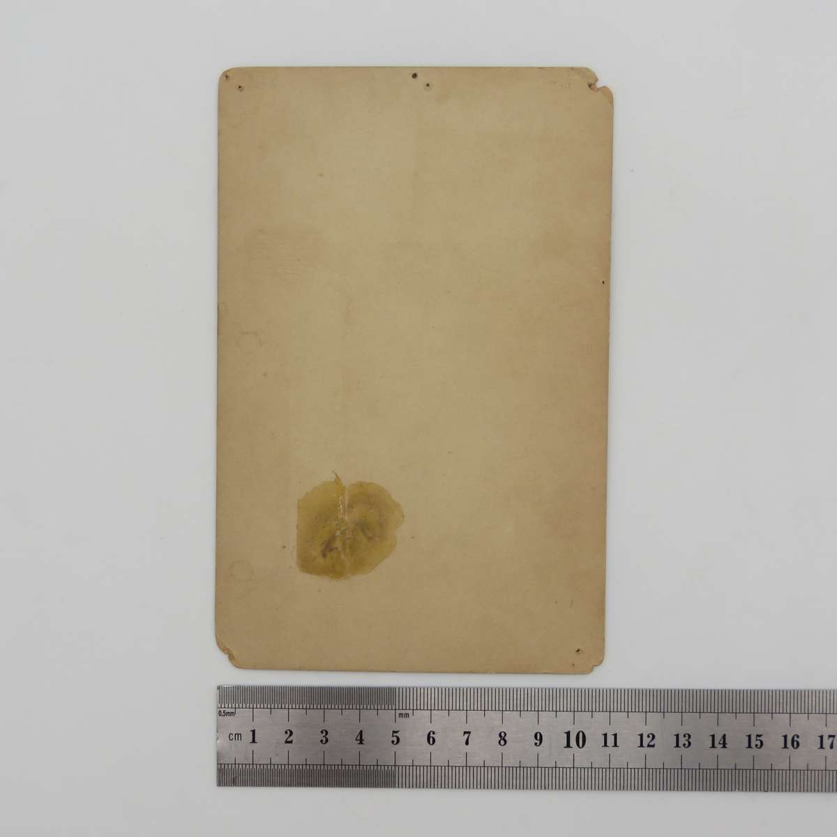 French Collection Universelle early 1900`s nude photo card