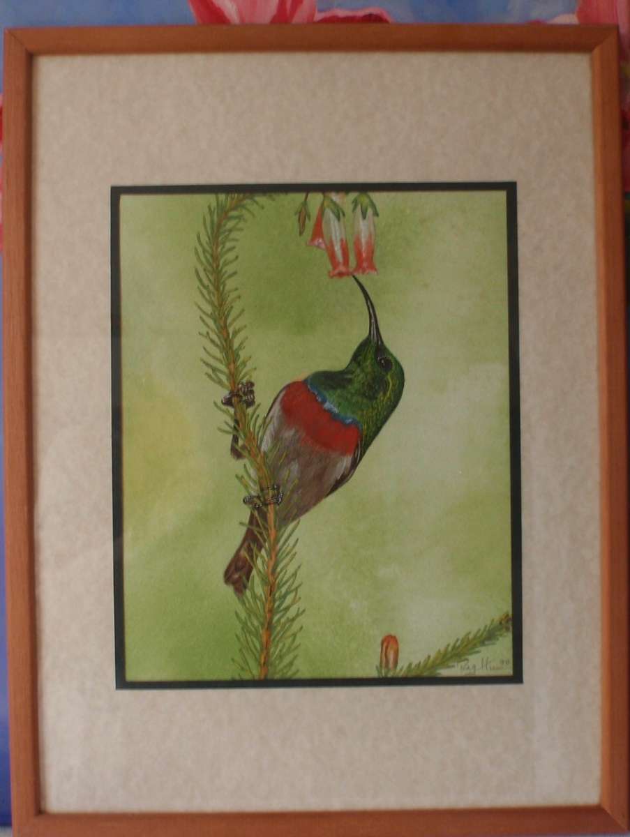 Beautiful wild bird, original watercolour painting. Signed and dated. Well framed ready to hang.