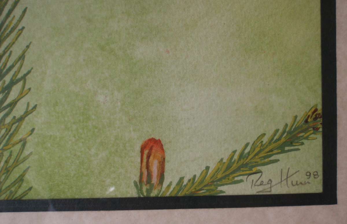 Beautiful wild bird, original watercolour painting. Signed and dated. Well framed ready to hang.