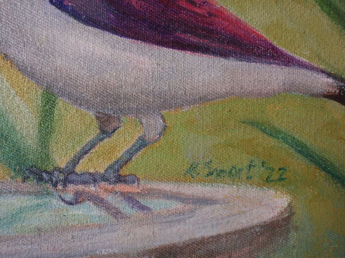 Original bird painting Violet Backed Starling on birdbath.  Oil on canvas, signed by the artist.
