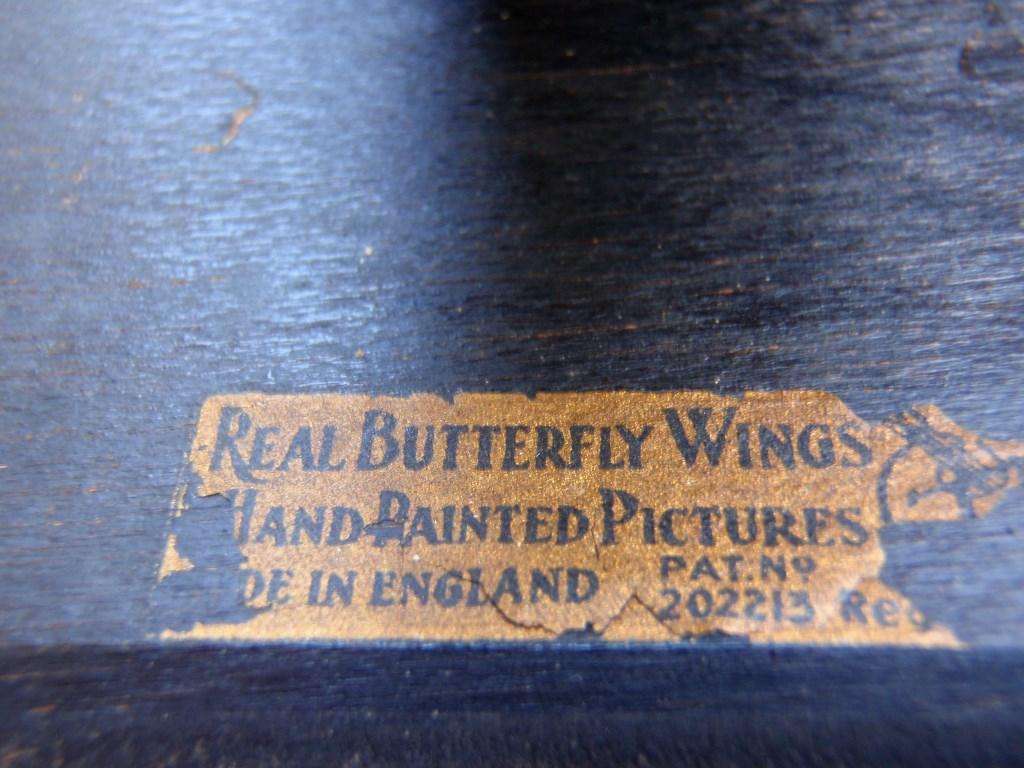 Miniature painting of Brakpan Town Hall on butterfly wings, unique piece made in UK