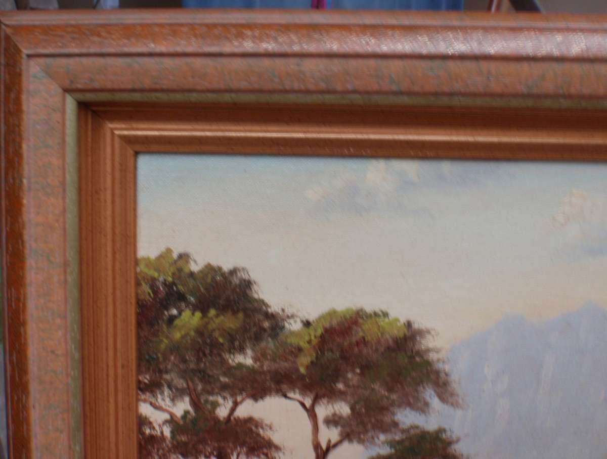 Vintage original oil painting  by F.Wort. Tranquil mountain river scene. Well framed.