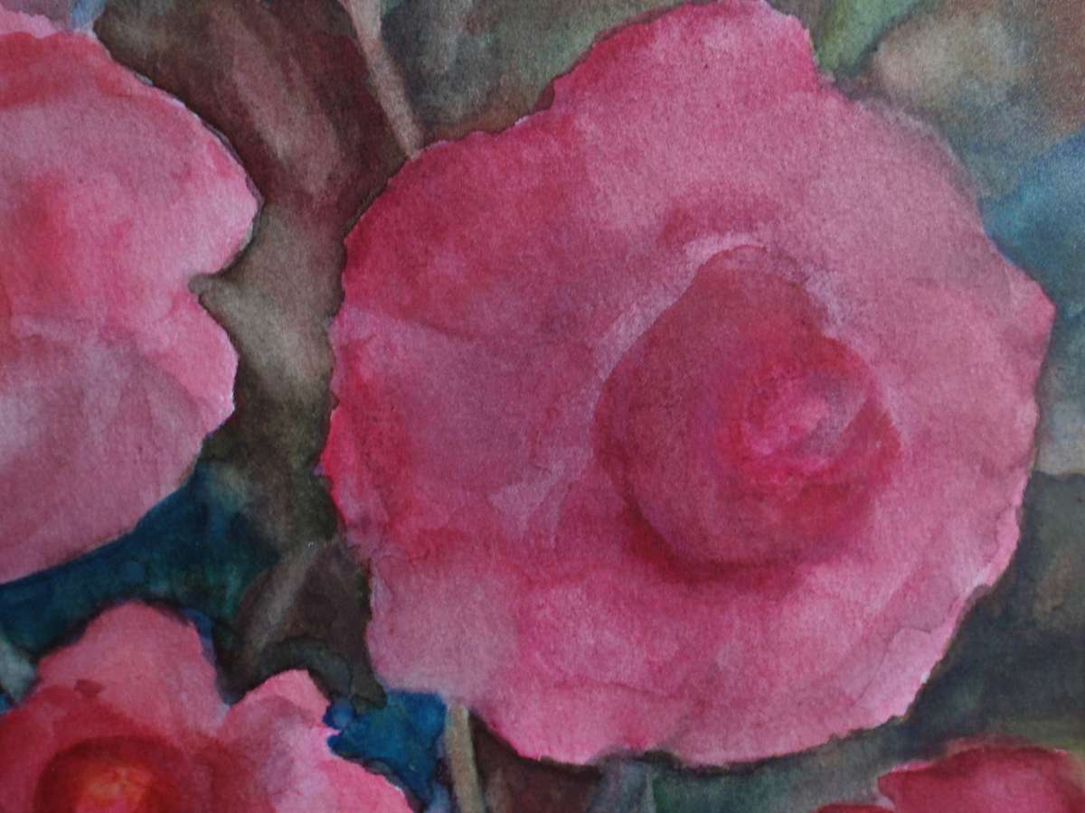 Gorgeous original watercolour by H.O'Brien.  Beautiful, delicate peony flowers.