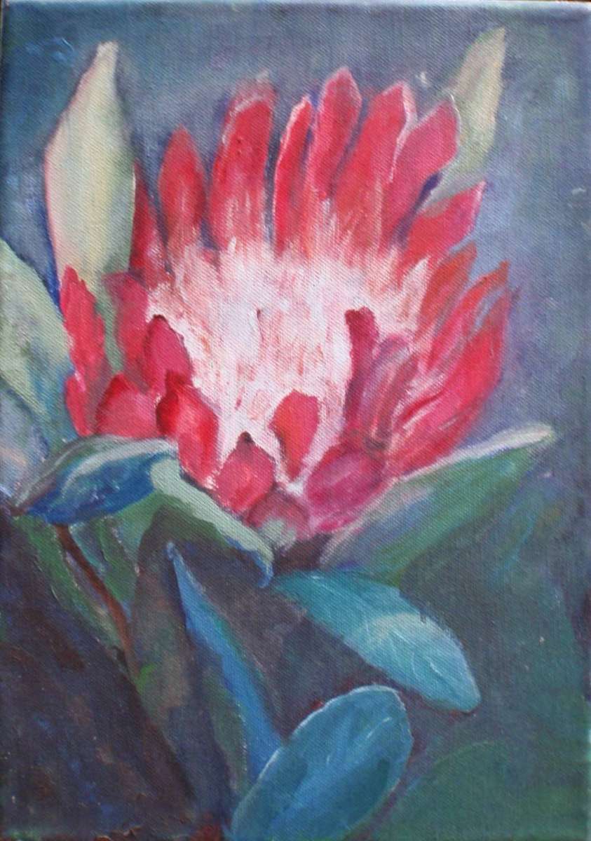 Impressionist oil painting on canvas - vibrant Protea. Vintage original piece.