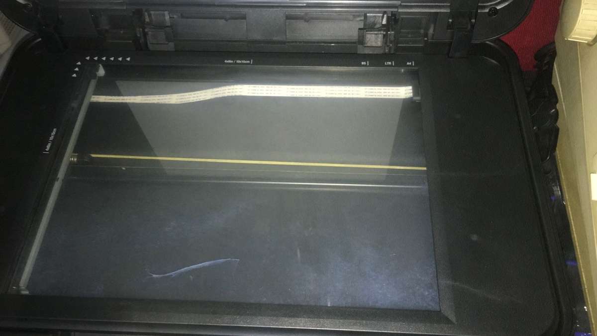 Lexmark Impact S305 Printer _ PLEASE READ AD CAREFULLY